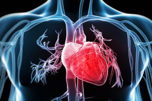 الفرق بين القسطرة التشخيصية وقسطرة القلب