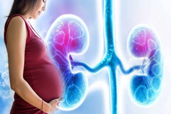 Stillbirth rates in pregnant women with kidney disease