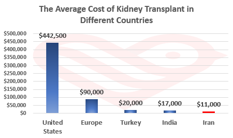 Kidney transplantation in Iran