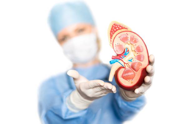 The Cost of Kidney Transplantation in Iran