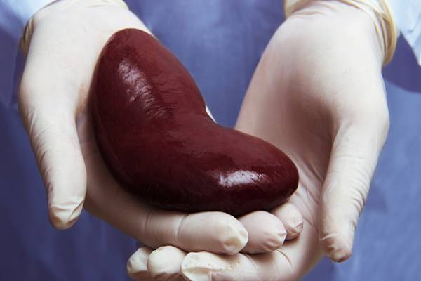 Tips Before and After Kidney Transplantation