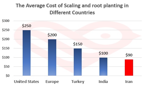 Scaling and root planting in Iran